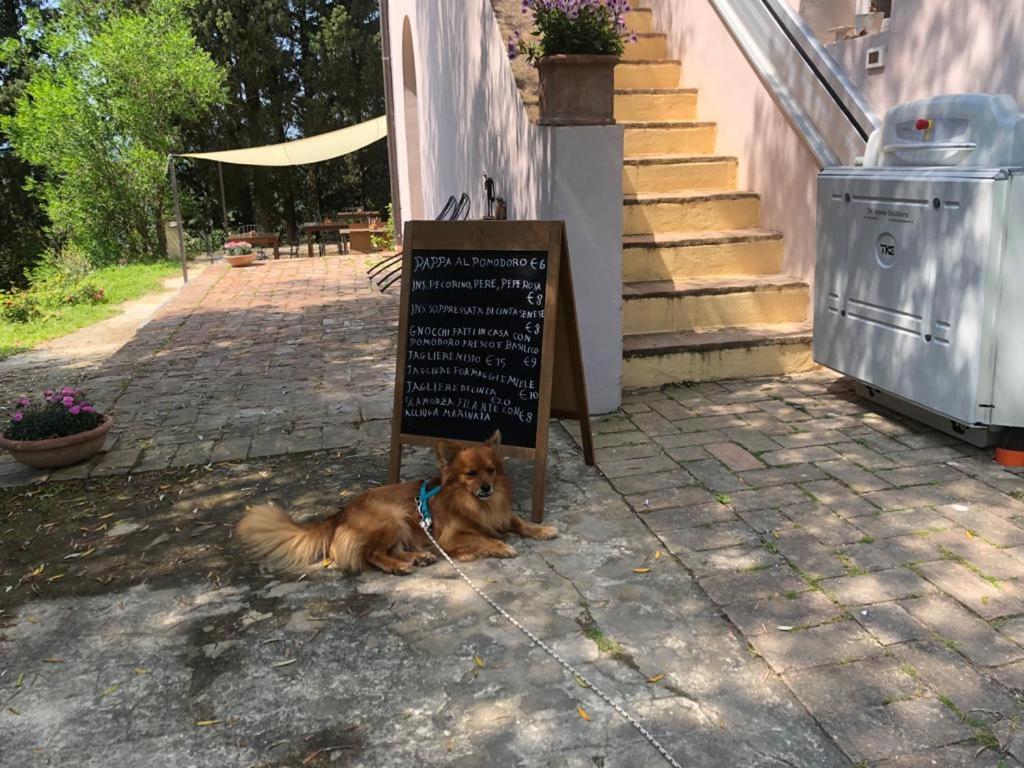 吉莉阿瑞思托加缇住宿加早餐旅馆 Ghizzano 外观 照片